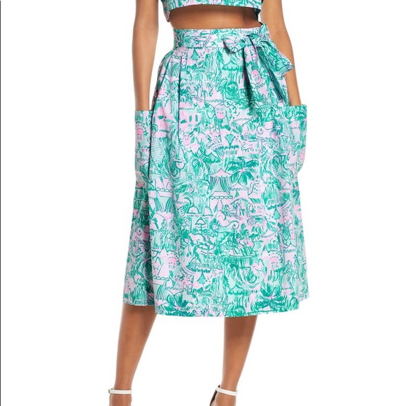 Lilly Pulitzer Lenora A Line Cotton Skirt Size 00 - Picture 4 of 15